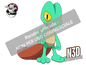 0252 - Treecko shiny