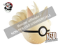 0038 - Ninetales