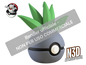 0043 - Oddish